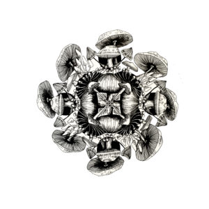 mushroom mandala (original)