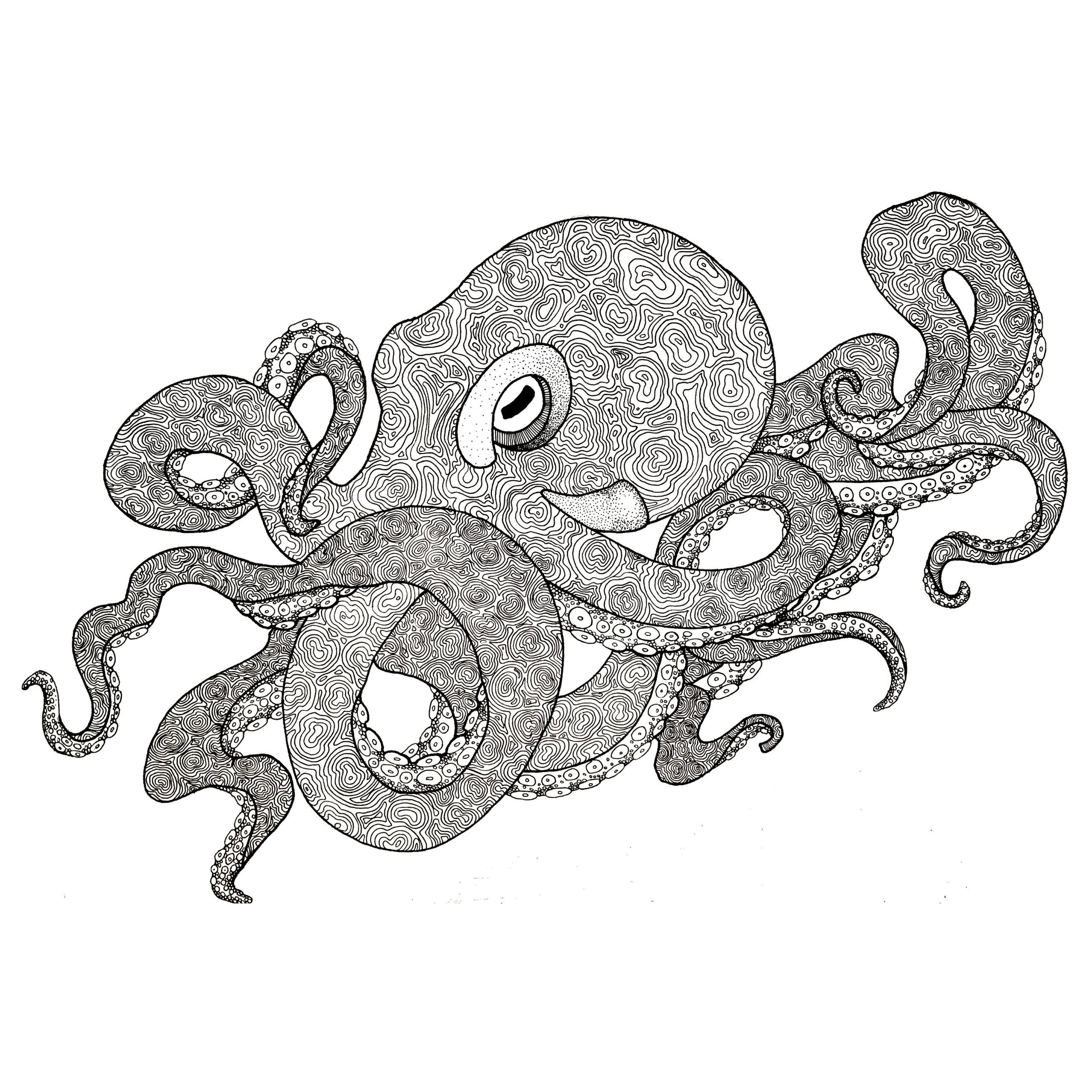 octopus (original)